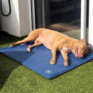 TAPIS DIMITRI RAFRAICHISSANT