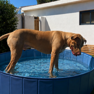 PISCINE PATOUNE