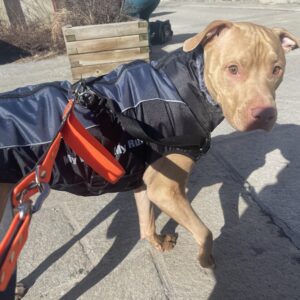 VESTE OCEANE – THERMO